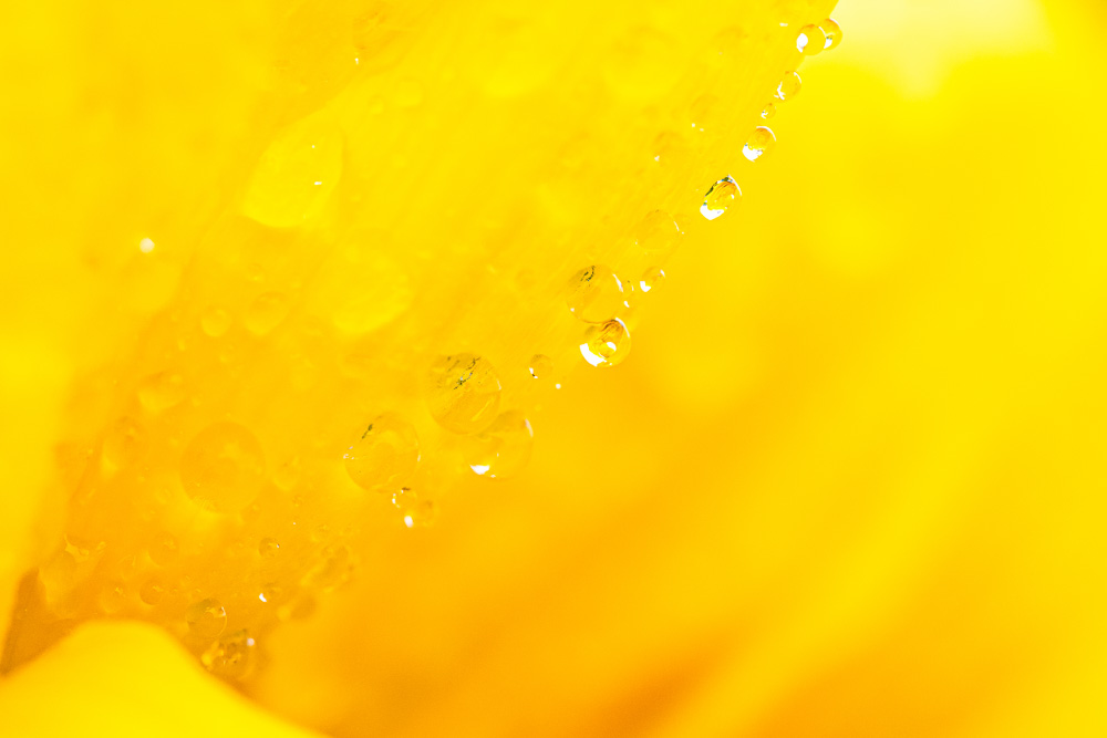 Platz 7 Conny Kleiner